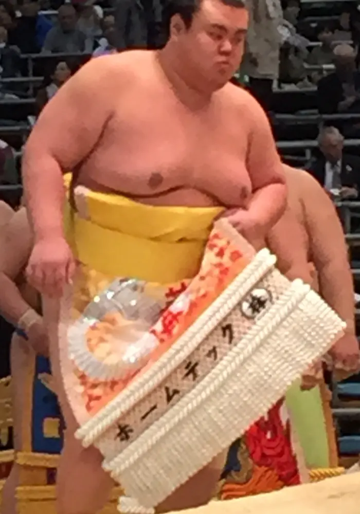 2015年大阪場所で化粧まわしを着けたHidenoumi
